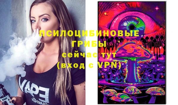2c-b Ладушкин