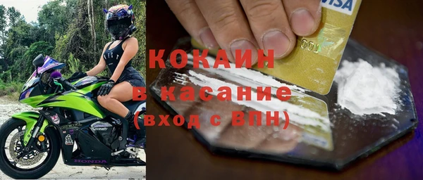 мдпв Лагань