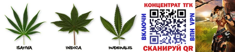 Купить  Чайковский  Дистиллят ТГК THC oil 
