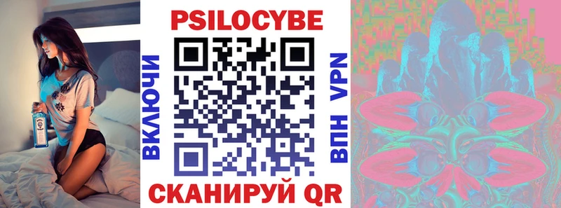 Купить  Чайковский  Псилоцибиновые грибы прущие грибы 